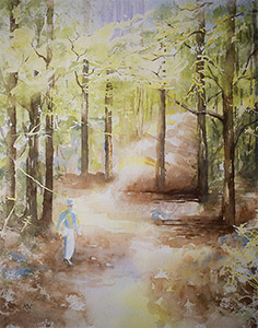 a walk in the woods